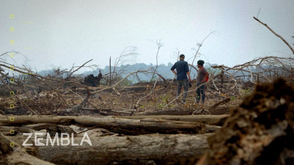 How the soy industry destroys the Amazon rainforest